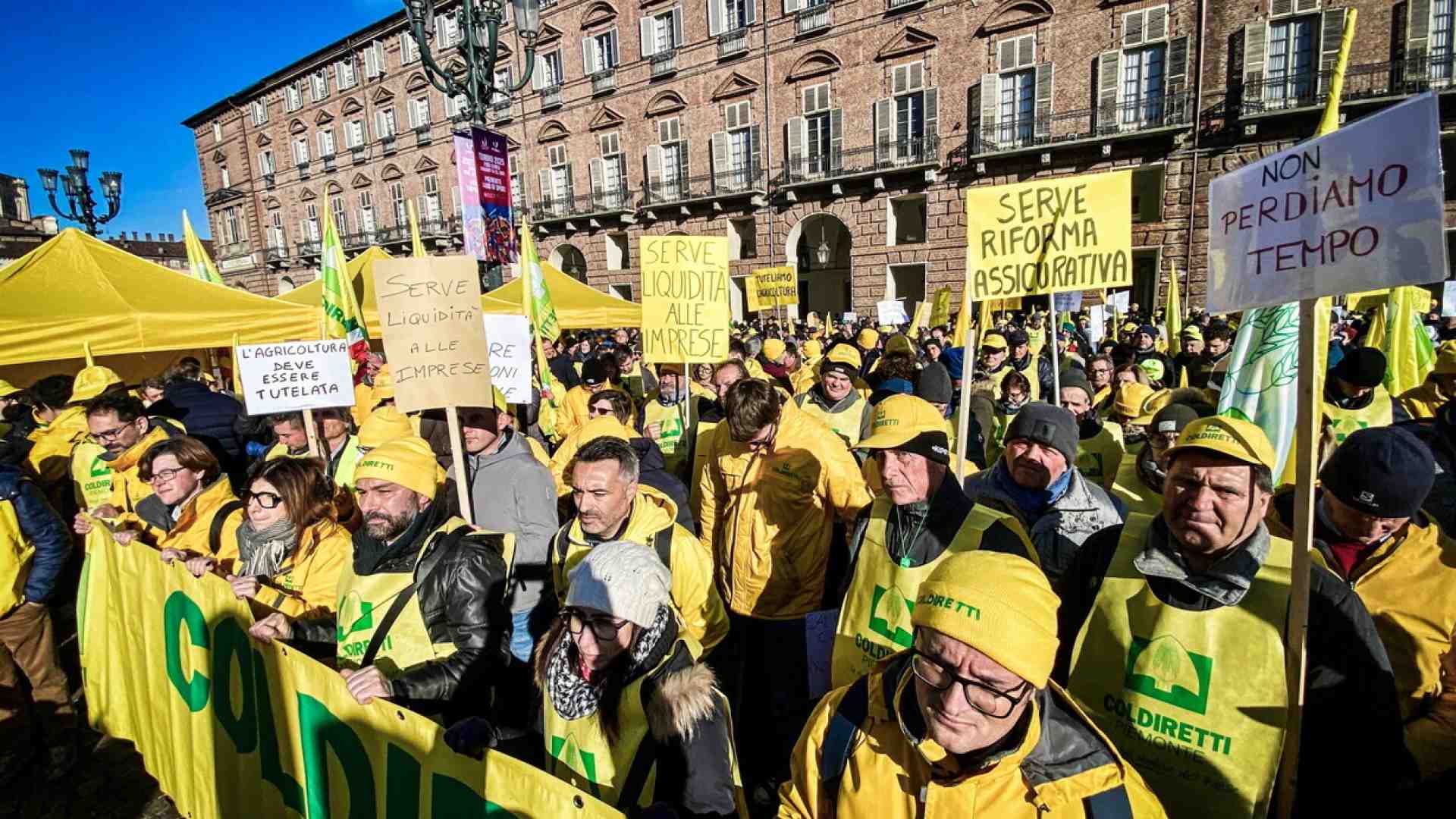 La comunità scientifica risponde a Coldiretti: "Le richieste sulla carne sintetica non hanno base scientifica"