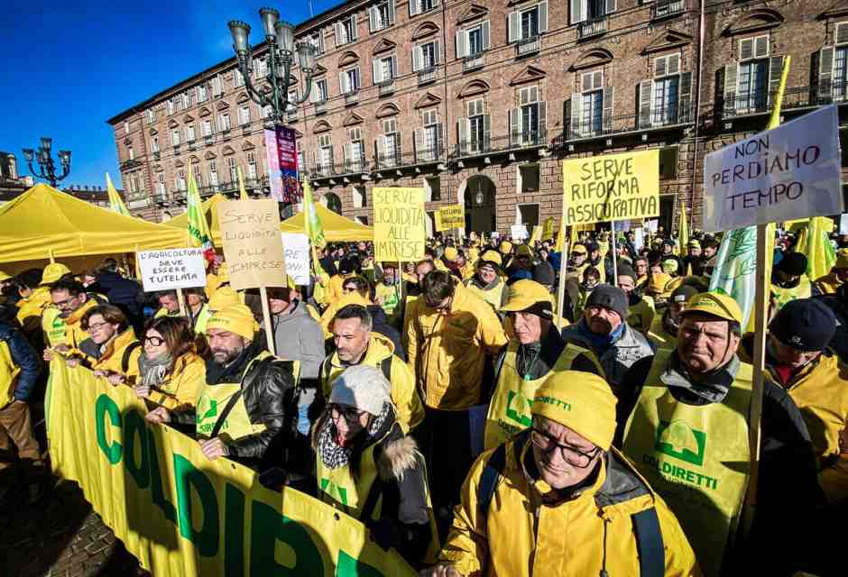 La comunità scientifica risponde a Coldiretti: "Le richieste sulla carne sintetica non hanno base scientifica"