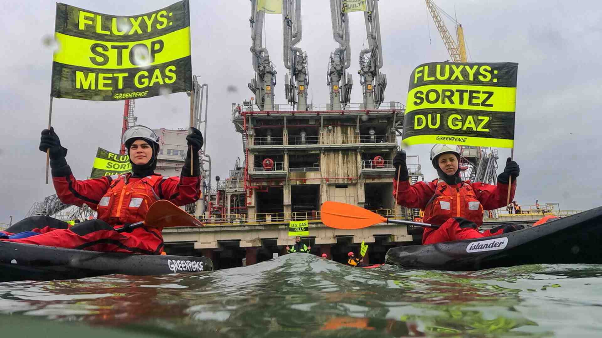 Una lezione a Greenpeace