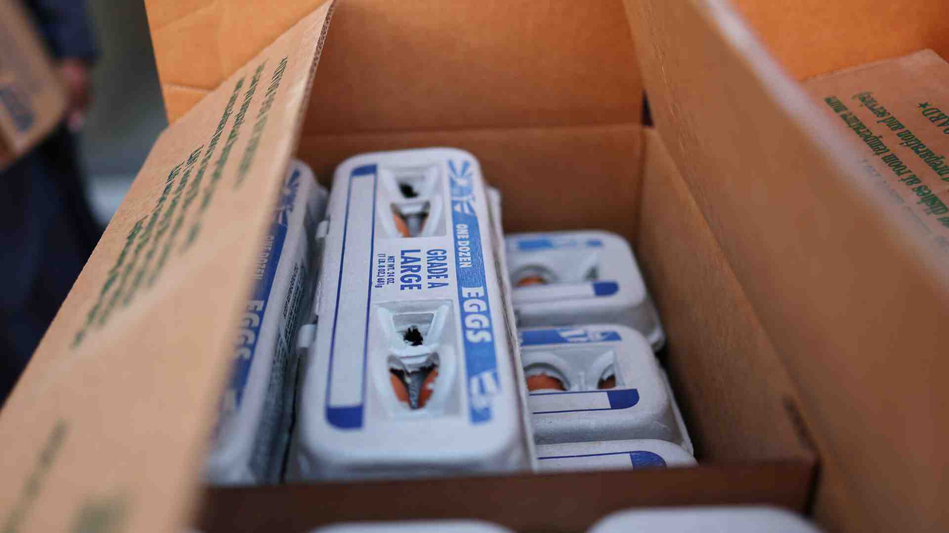 La frittata di Trump sui dazi