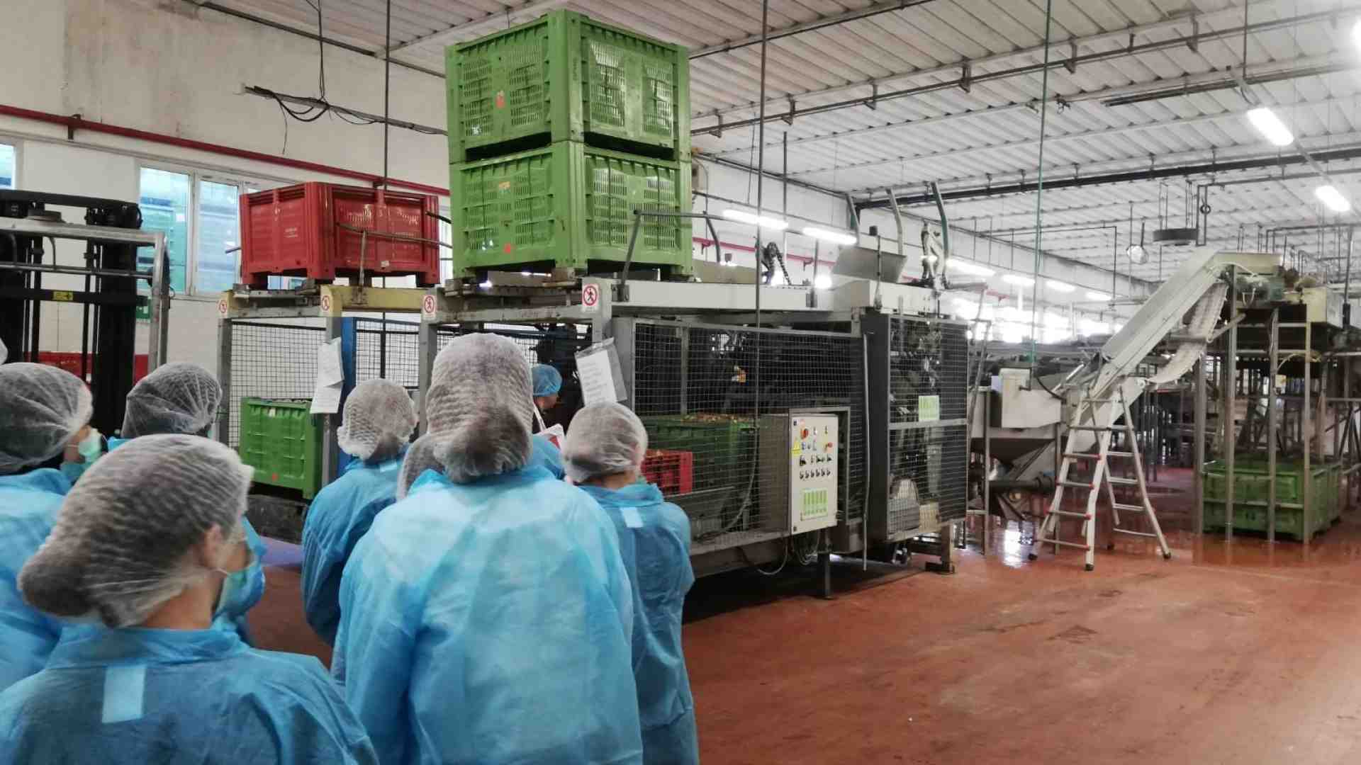 Studenti esplorano le aziende per costruire il proprio futuro lavorativo