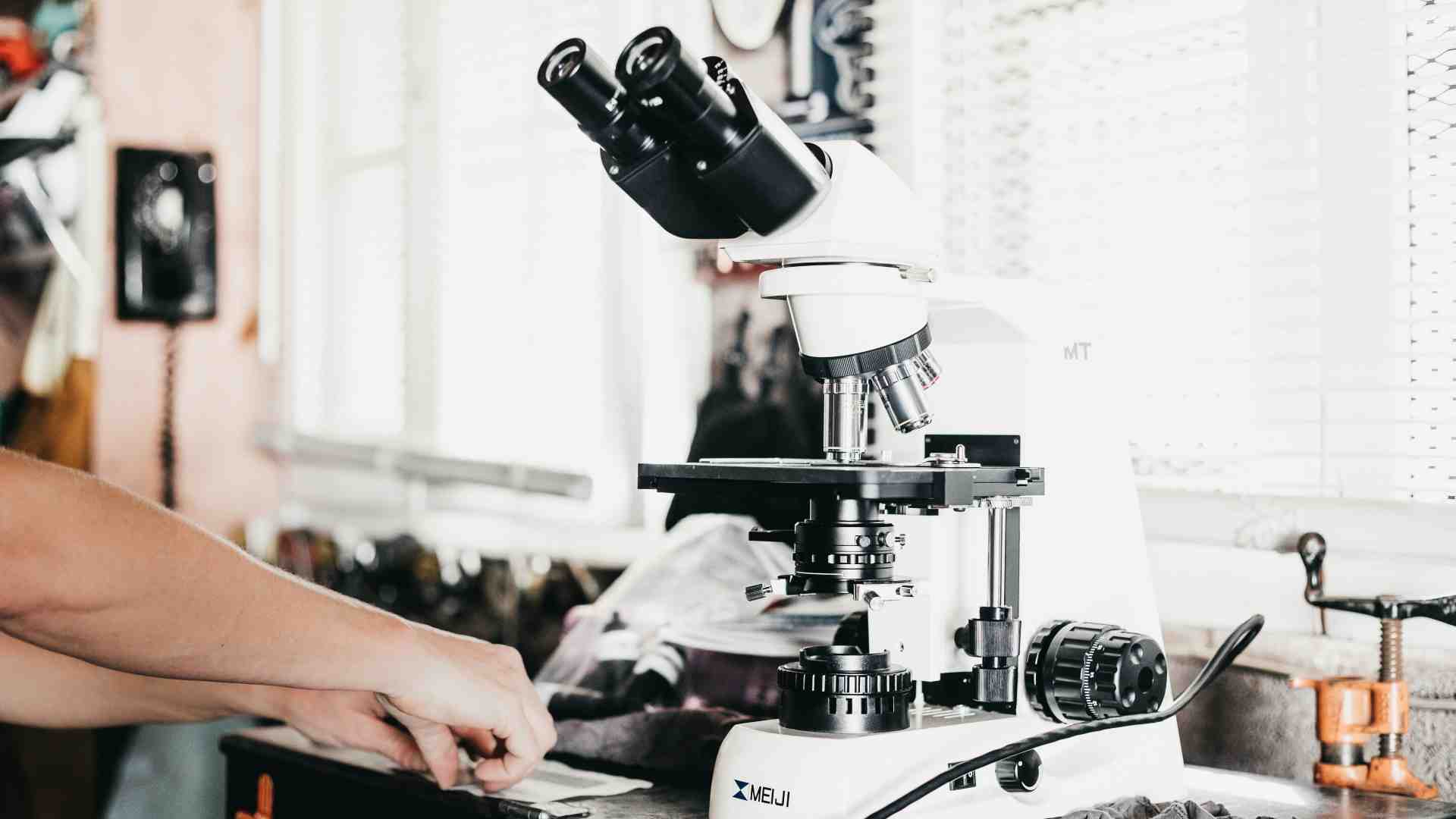 I ricercatori statunitensi in fuga dalle politiche dell'Amministrazione Trump