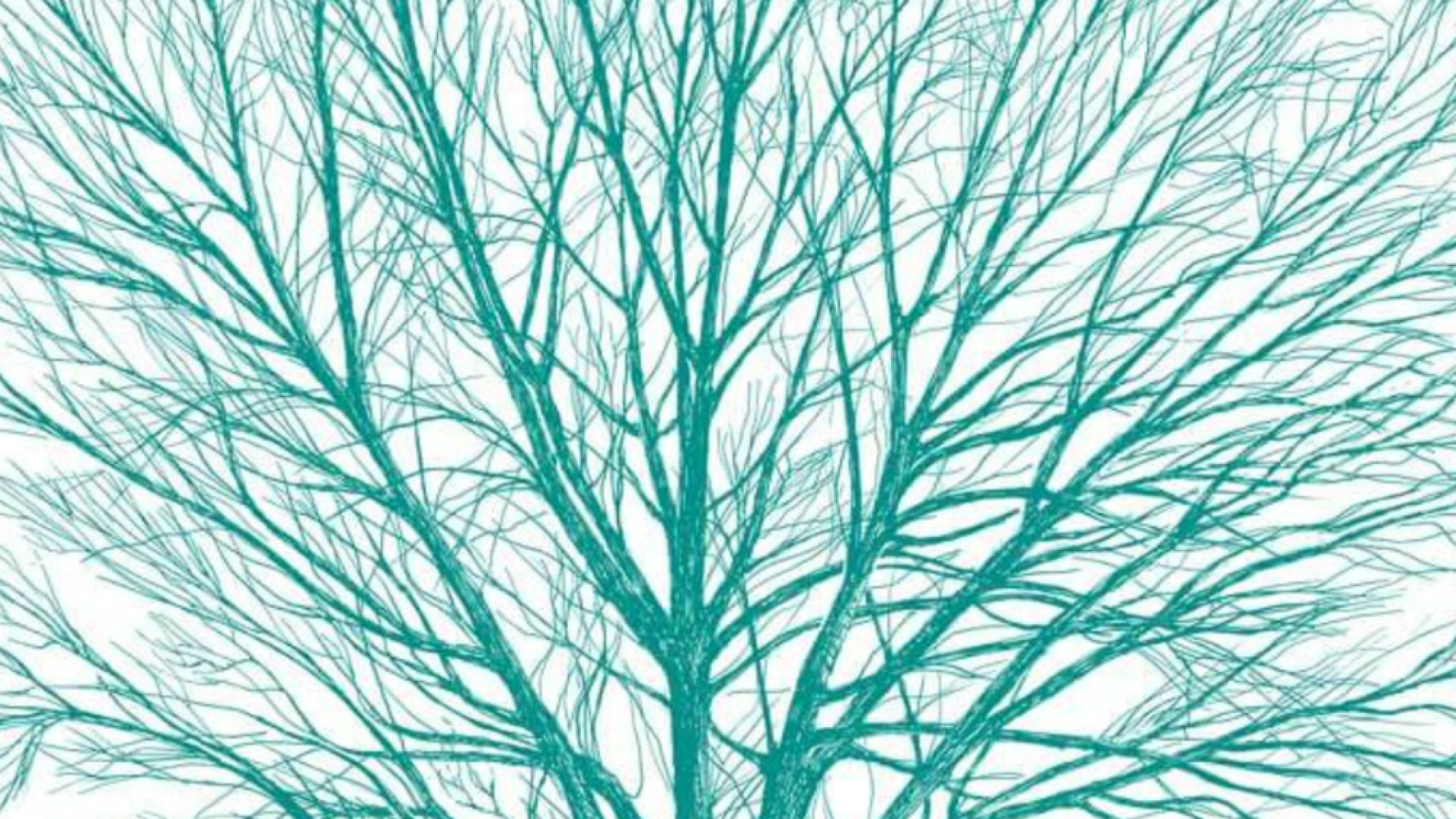 Se le città crescono intorno agli alberi