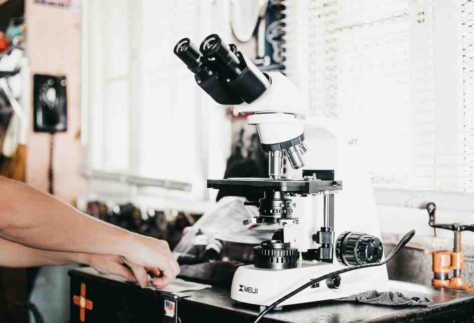 I ricercatori statunitensi in fuga dalle politiche dell'Amministrazione Trump