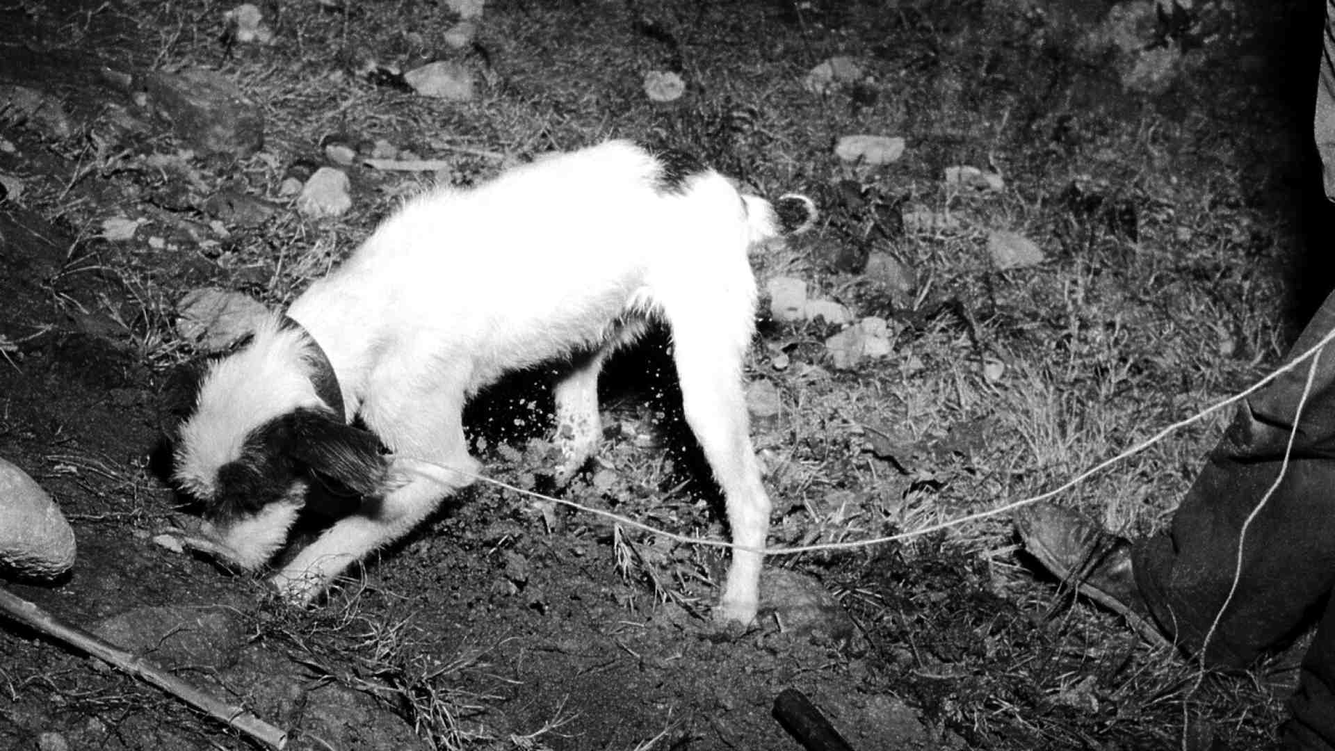 Un'eccezione sulle rubriche degli altri