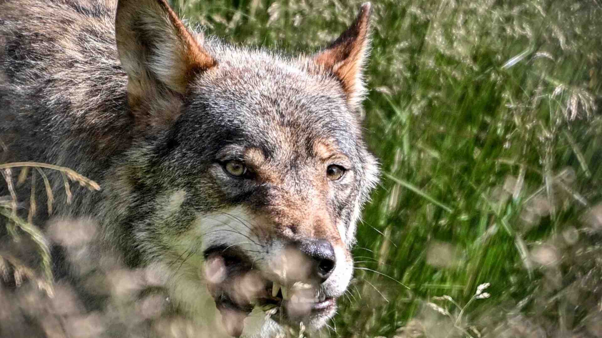 Incontri casuali all’uscita del metrò