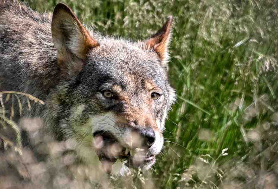 Incontri casuali all’uscita del metrò