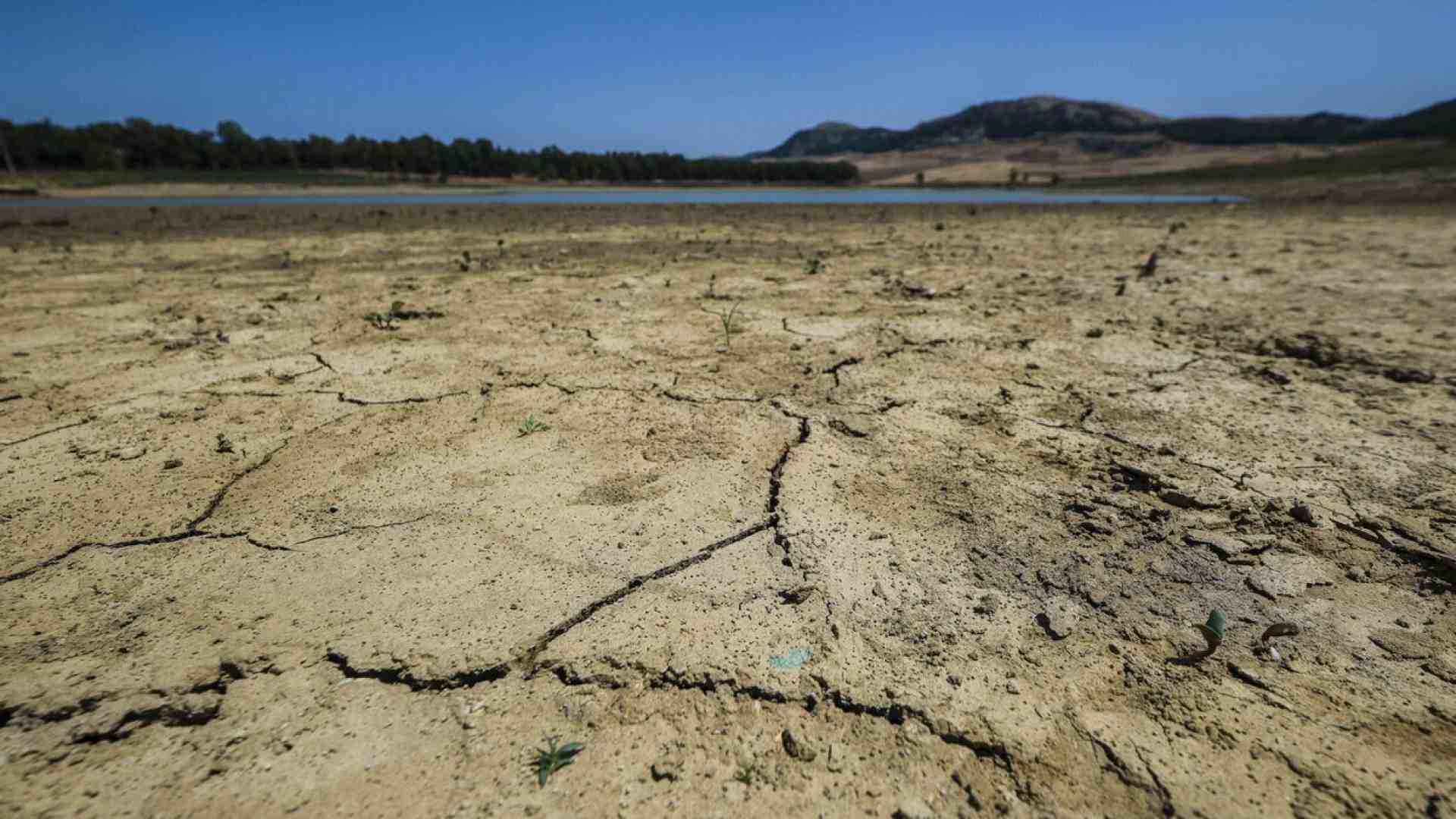 Il buco all’Inps e l’acqua a Palermo: se c’è di mezzo la politica pure la matematica è un’opinione