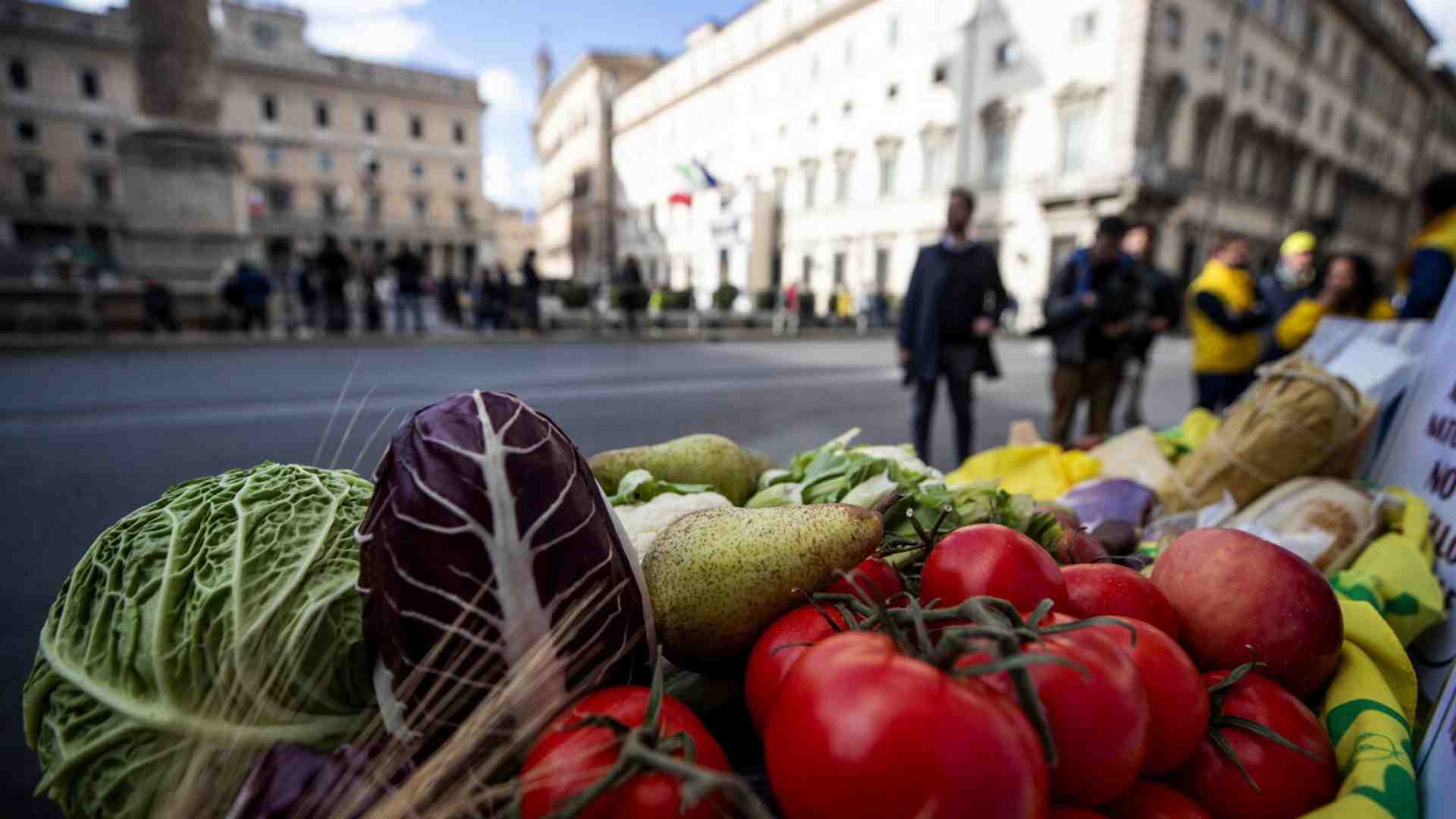 Cibo sano? Attenti ai miti, ai bluff e alle ricette della nonna