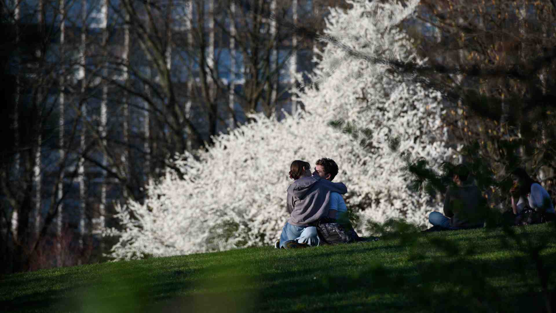 Mettere al mondo un altro mondo: il cuore scoperto per ri-fare l’amore