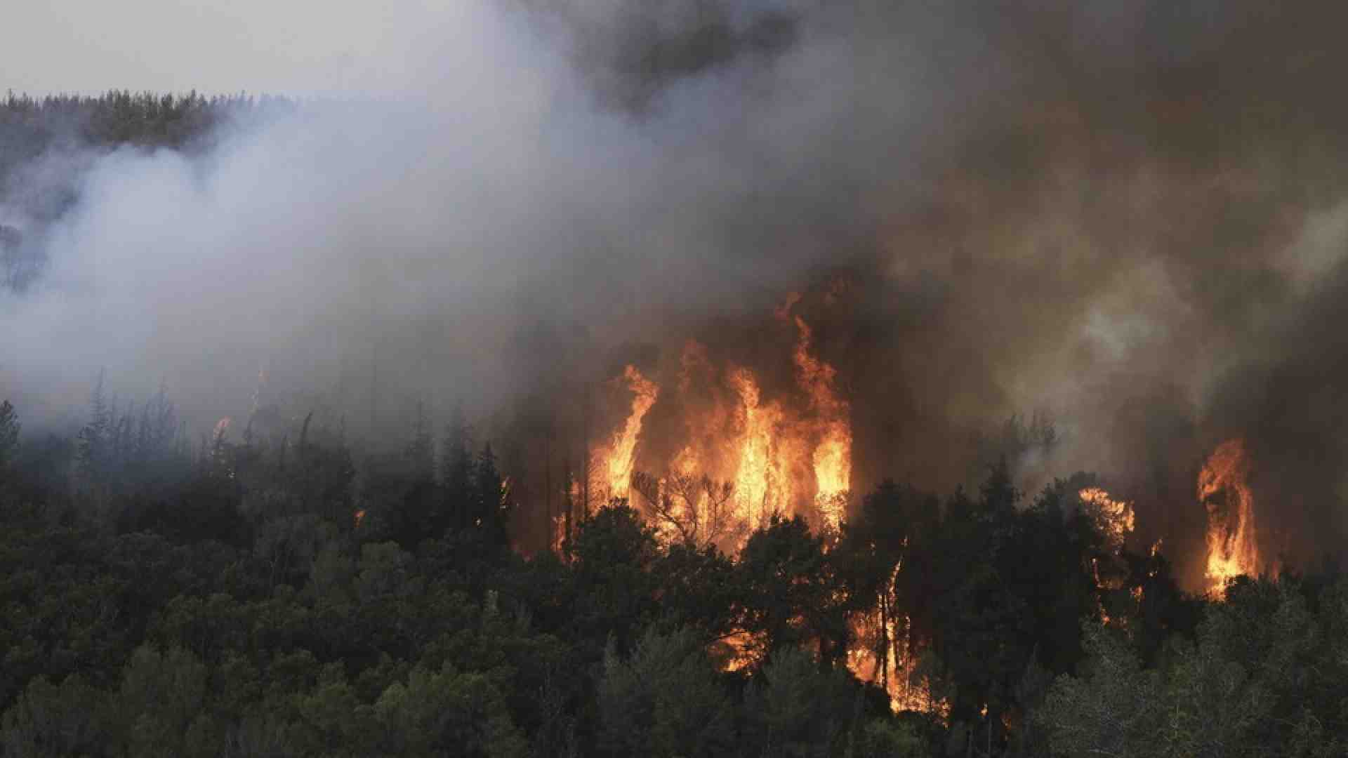 Il più grande incendio della storia di Israele brucia la parte centrale dello stato ebraico