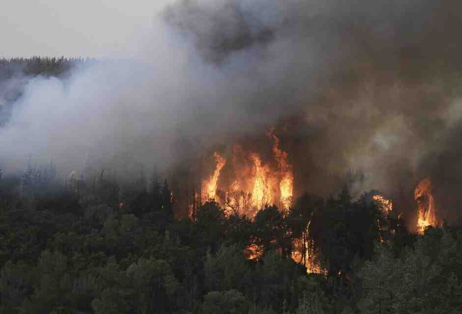 Il più grande incendio della storia di Israele brucia la parte centrale dello stato ebraico