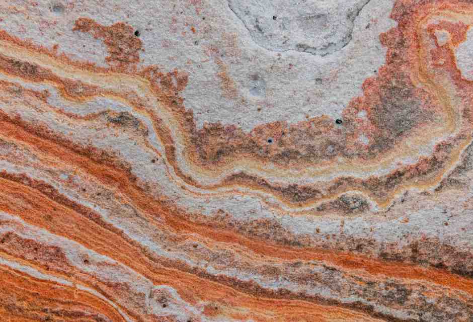 L'evoluzione umana è stata questione di tempismo