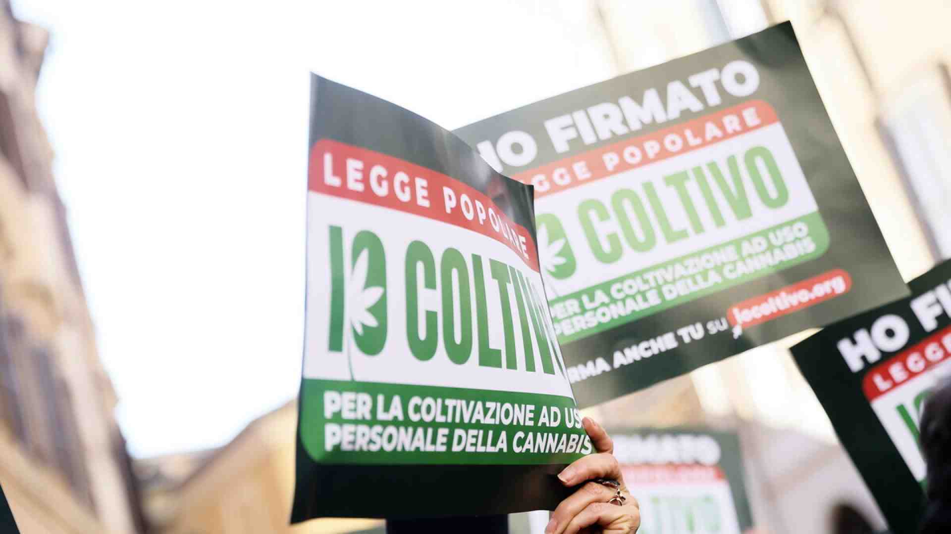 L'idea che lo stato possa proibire una droga può avere pericolose conseguenze