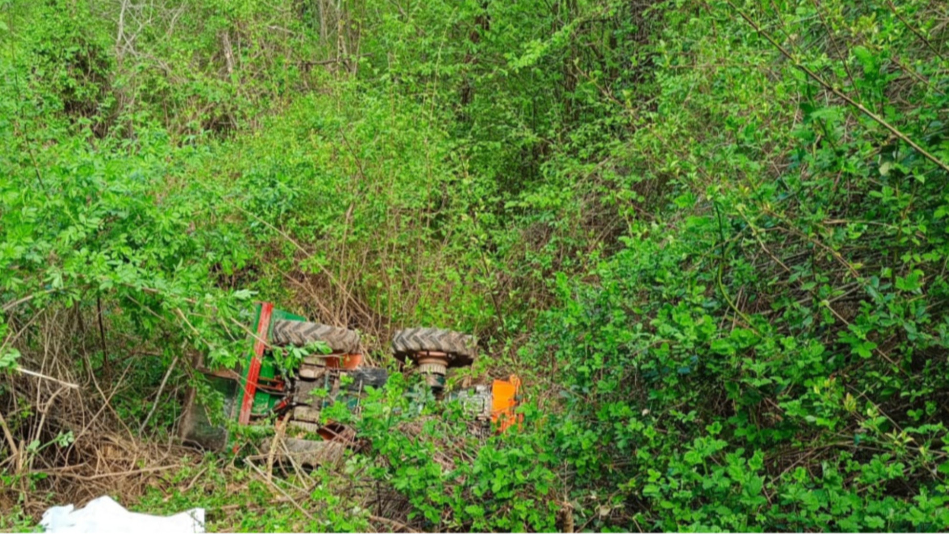 Una mostra celebra Robert Mapplethorpe e il suo rapporto con Patti Smith