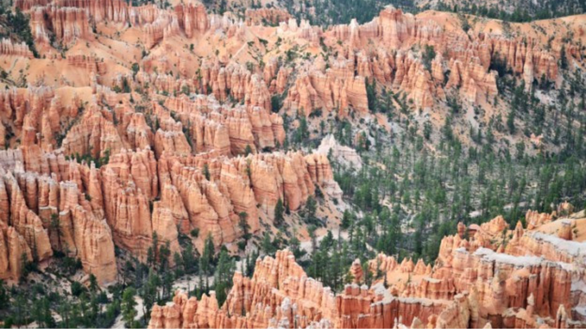 Titolo di esempio per l'articolo