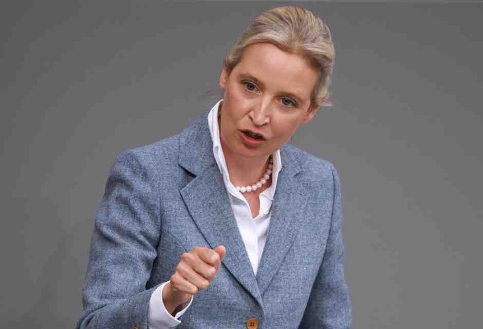 Che cosa può succedere davvero all’Afd “estrema”. Intervista