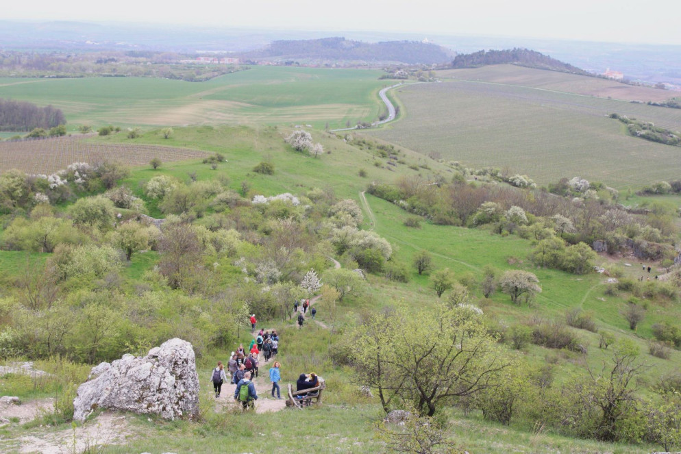 Sulla Romea Strata nella Moravia Meridionale