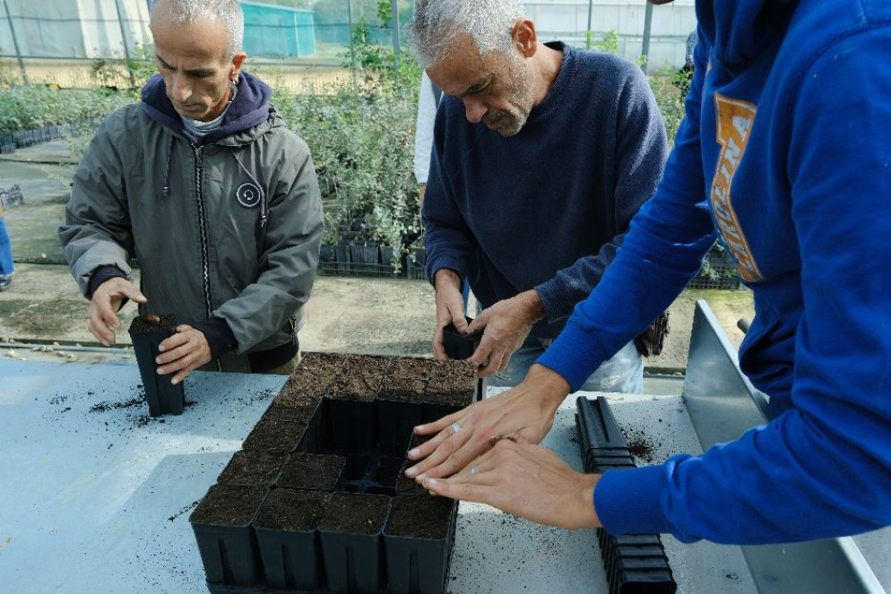 I vasetti in serra vengono innaffiati e riparati dall'eccesso di esposizione - Francesco Sellari per Silverback