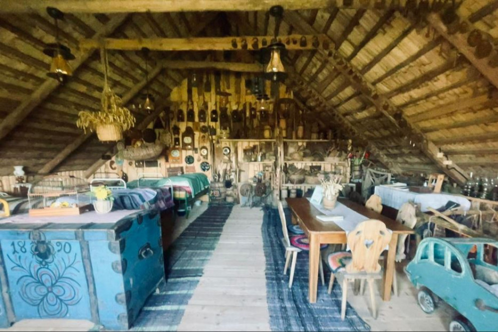 Molinė Saulėgrąža