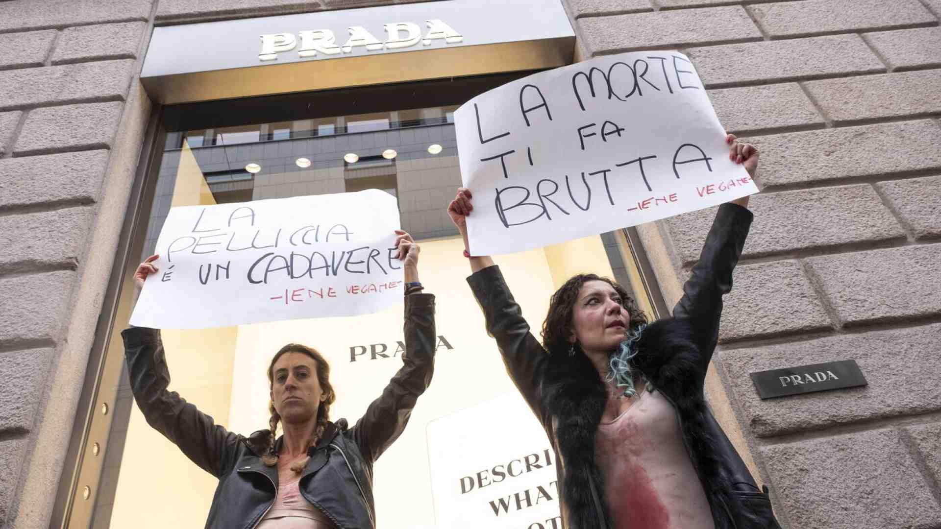 Il veganesimo è una gran brutta religione