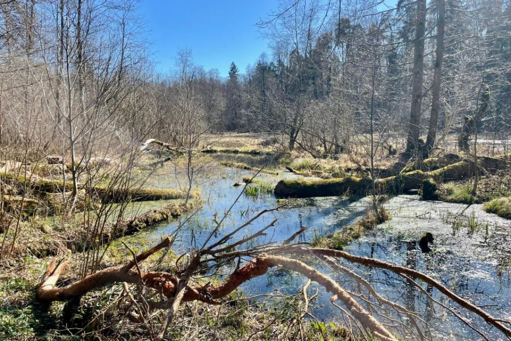 Lungo la tappa Sigulda Krimulda della Romea Strata