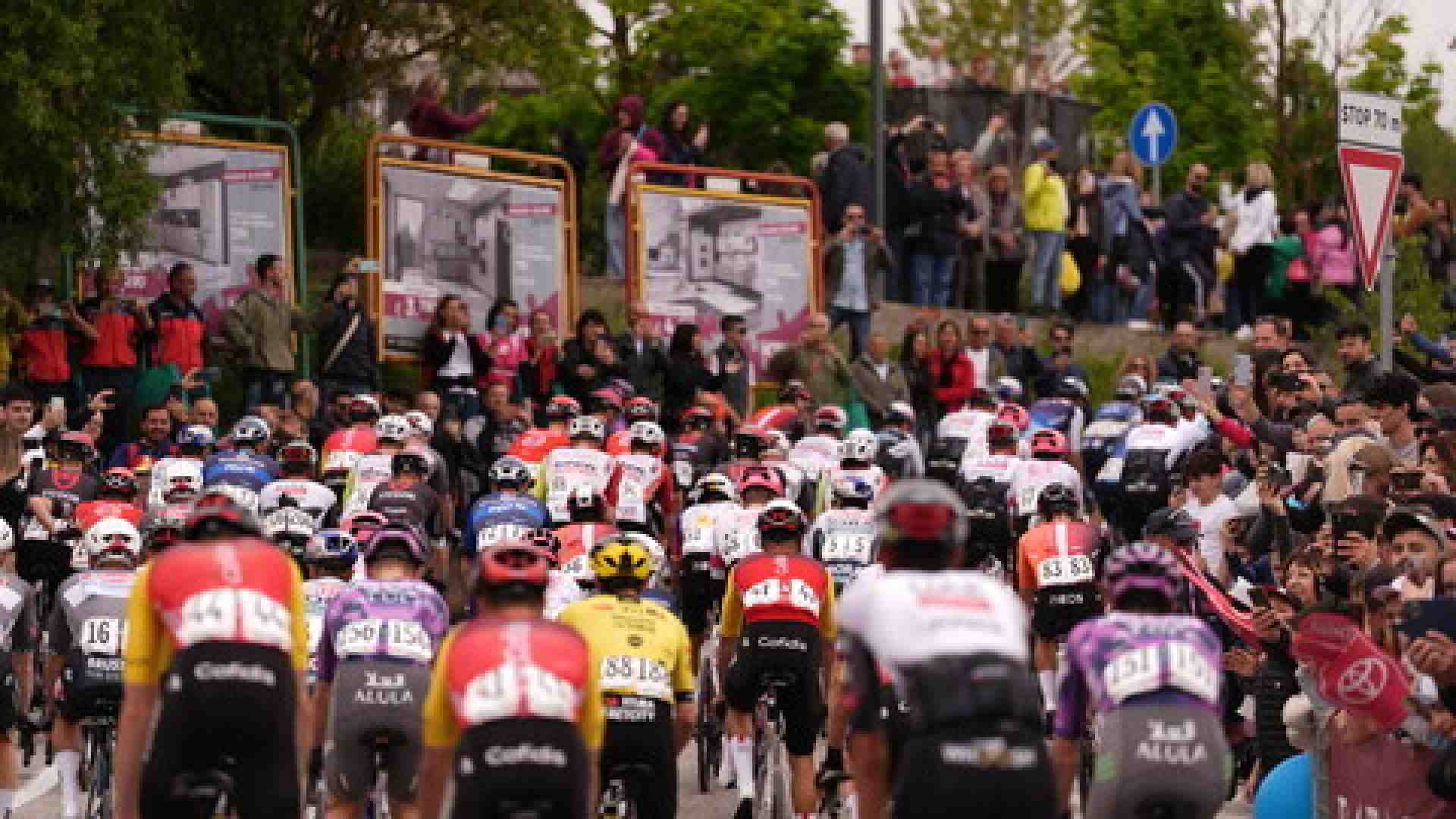 Da Johannesburg a Ovindoli: la lunga strada del risveglio del leone