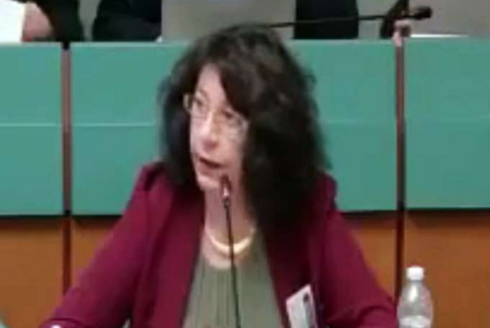 La coordinatrice Antonella Dellapina: ci sono verità nascoste negli uffici giudiziari che devono venire a galla. «Anche di fronte a una segnalazione fasulla, noi famiglie abbiamo pochissime possibilità di difenderci»