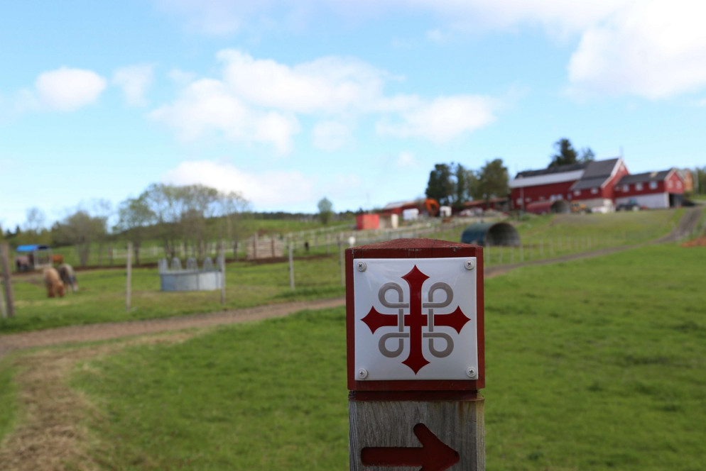 Un punto del cammino di sant'Olav (©Piergiorgio Pescali)