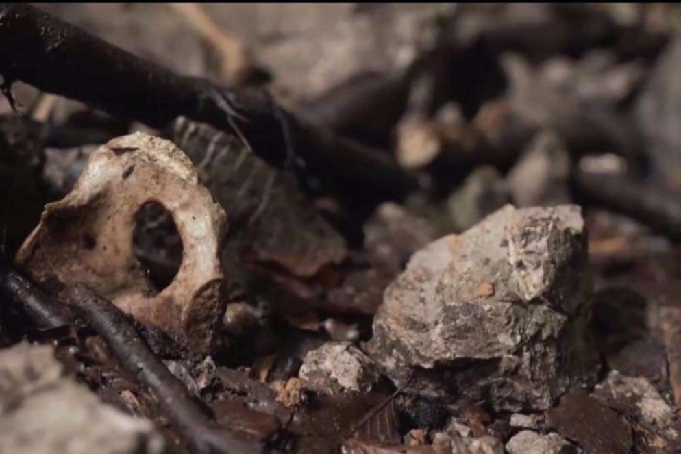 I resti delle vittime infoibate - Foto fornita in conferenza stampa