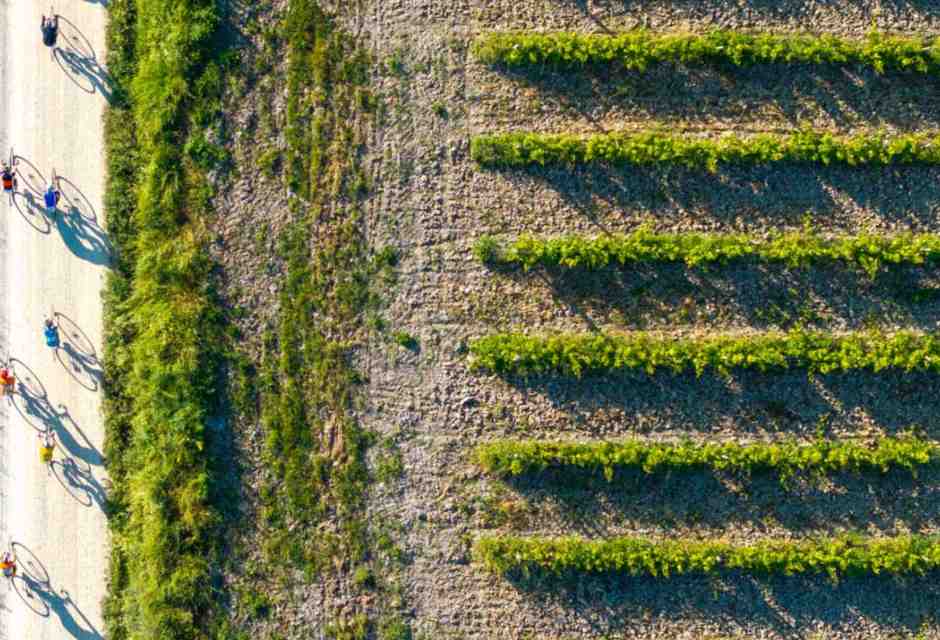 Un'altra domenica di sterrati in bicicletta