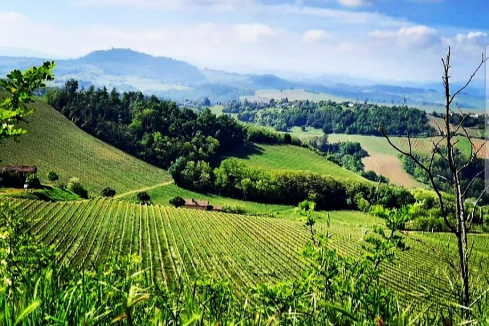 Le colline con le vigne dell'Oltrepò Pavese - Ufficio stampa "Dimore e Borghi"