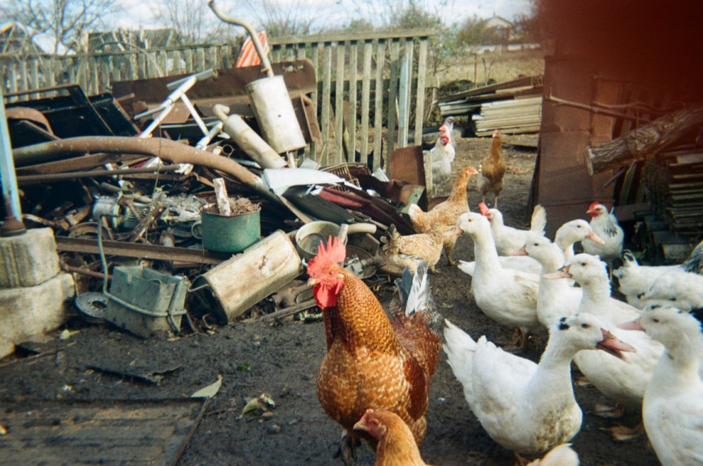 Un’immagine scattata lo scorso gennaio da Matviy, 11 anni, della regione di Kherson - “Behind Blue Eyes Project”