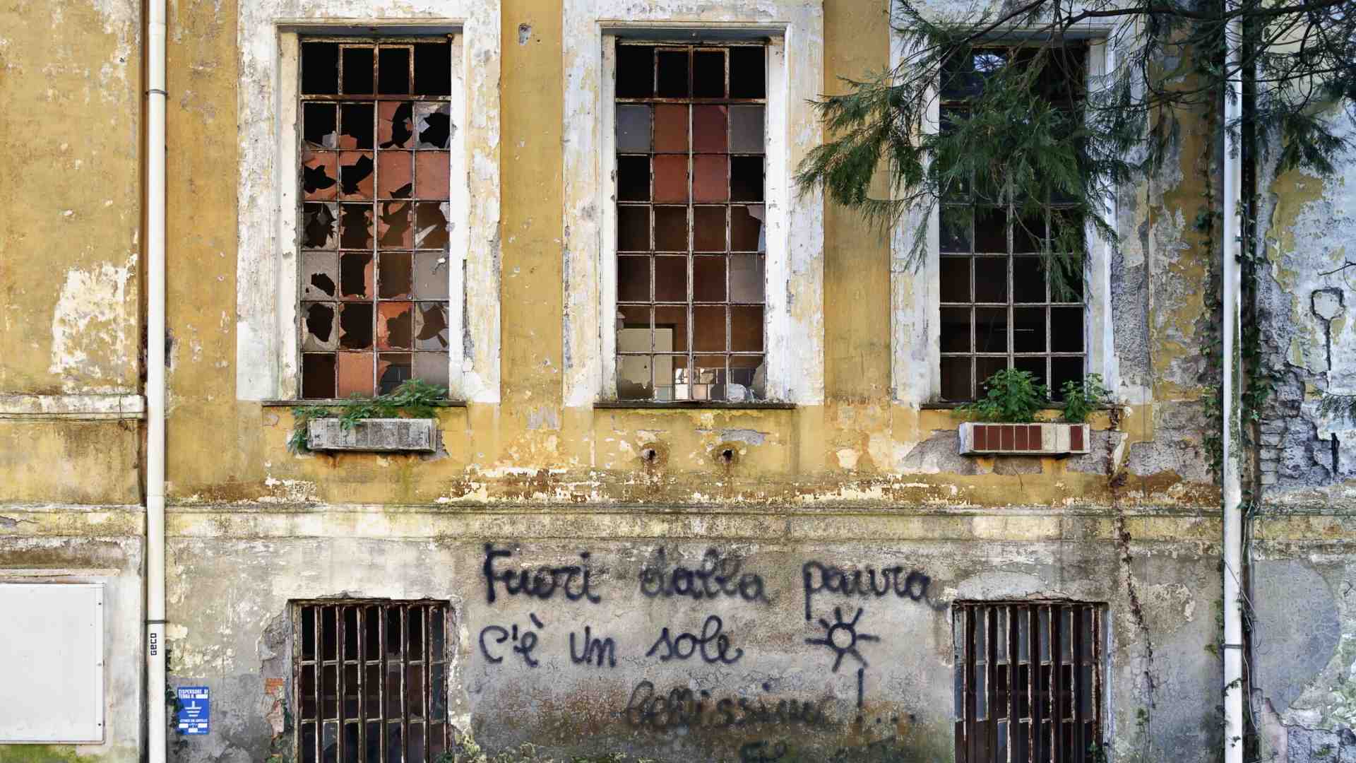 Chi ha rapito le tartarughe del Santa Maria della Pietà? Indagine