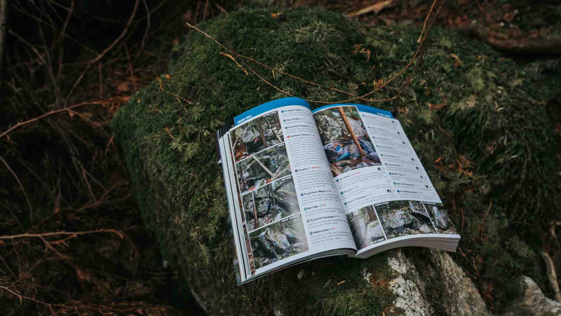 L'autocorrezione della scienza è sempre più difficile