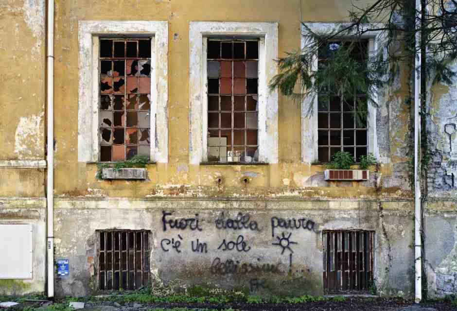 Chi ha rapito le tartarughe del Santa Maria della Pietà? Indagine