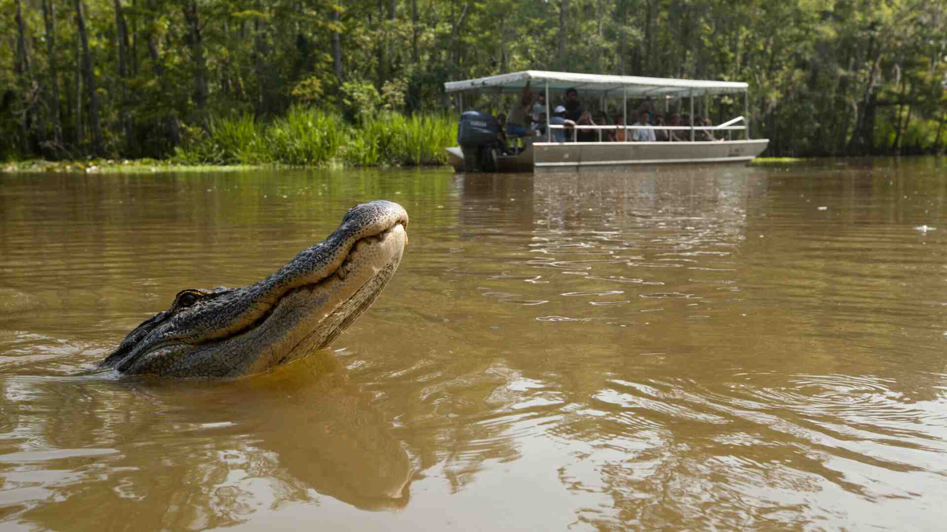 Il creatore di "True Detective" è in libreria con "Galveston", noir di sangue e paludi