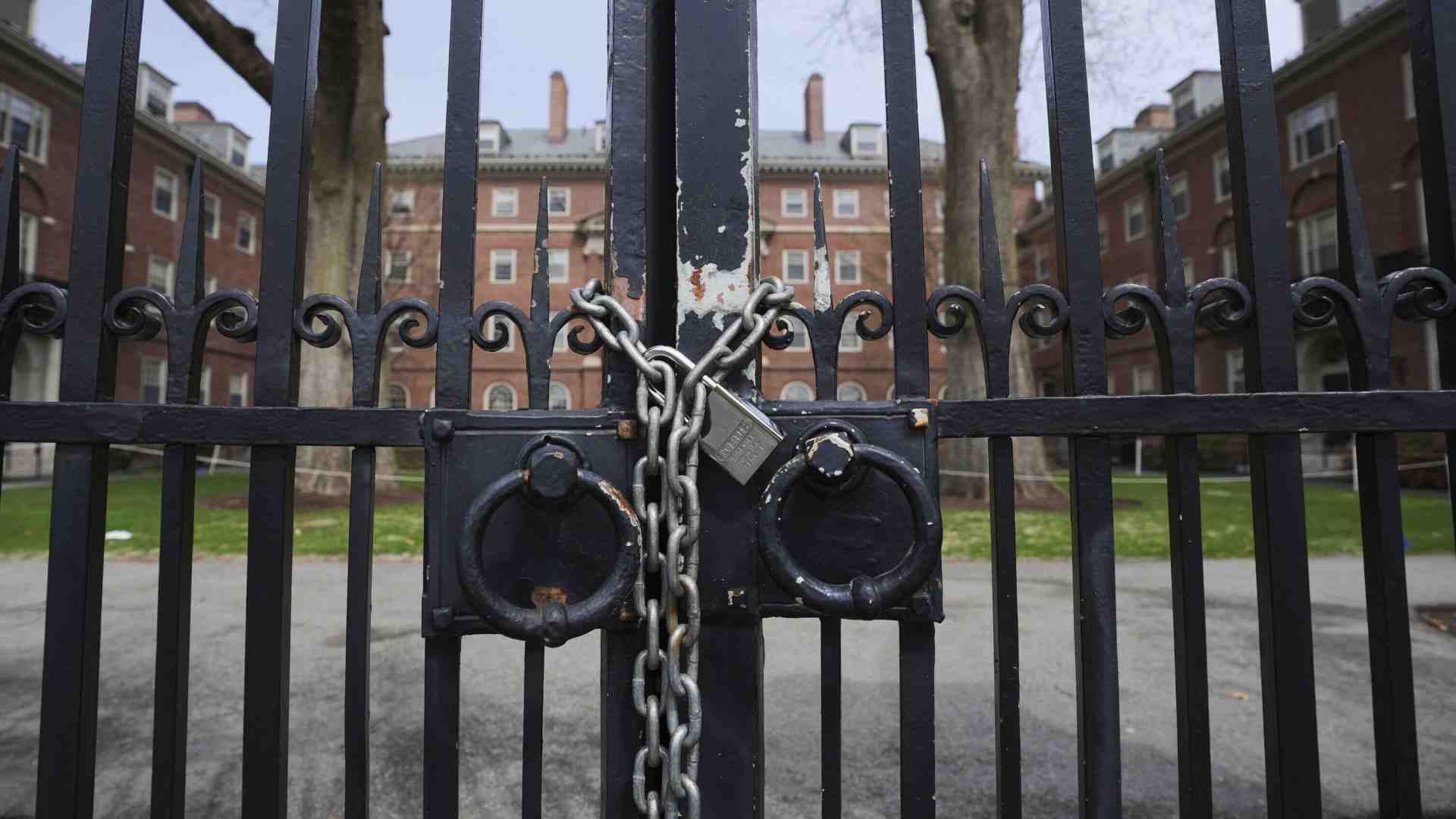 Il ban di Trump agli studenti esteri di Harvard è antieconomico: blocca l’esportazione di servizi