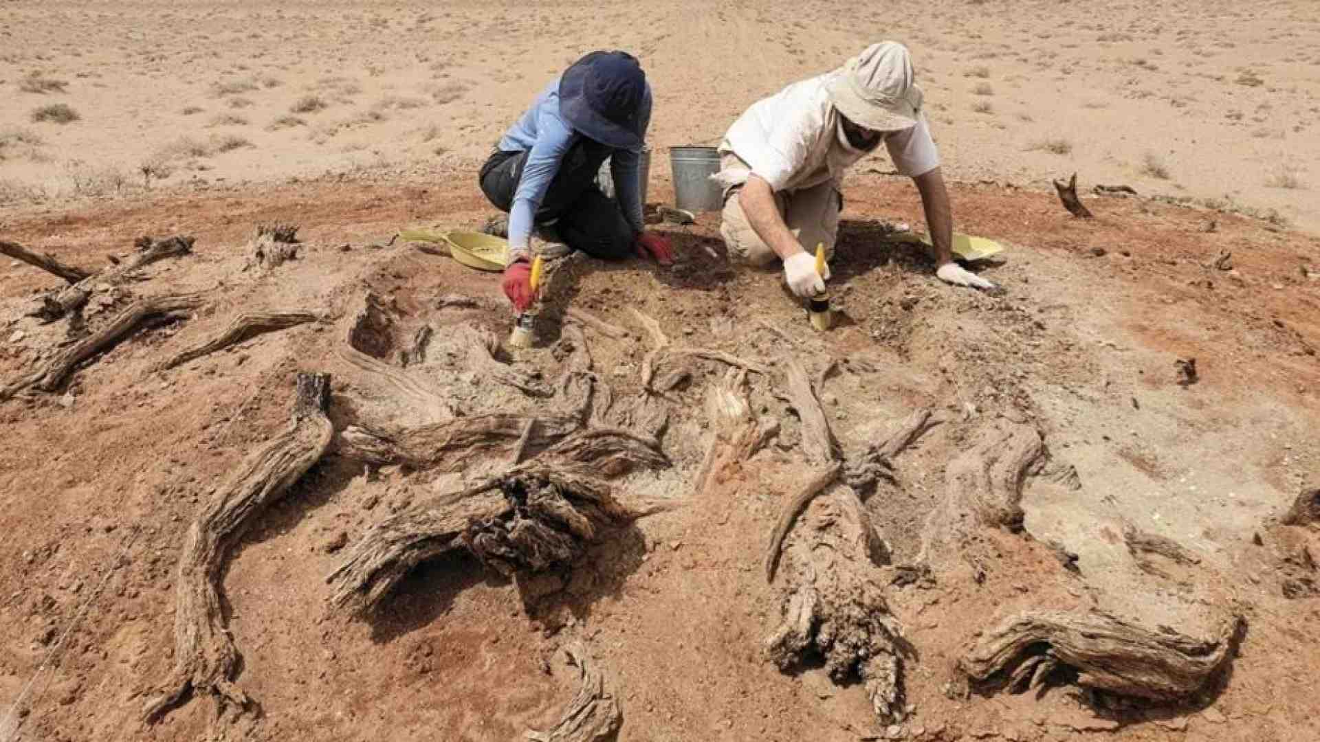 Prima della Grande Muraglia i cinesi costruirono il grande muretto