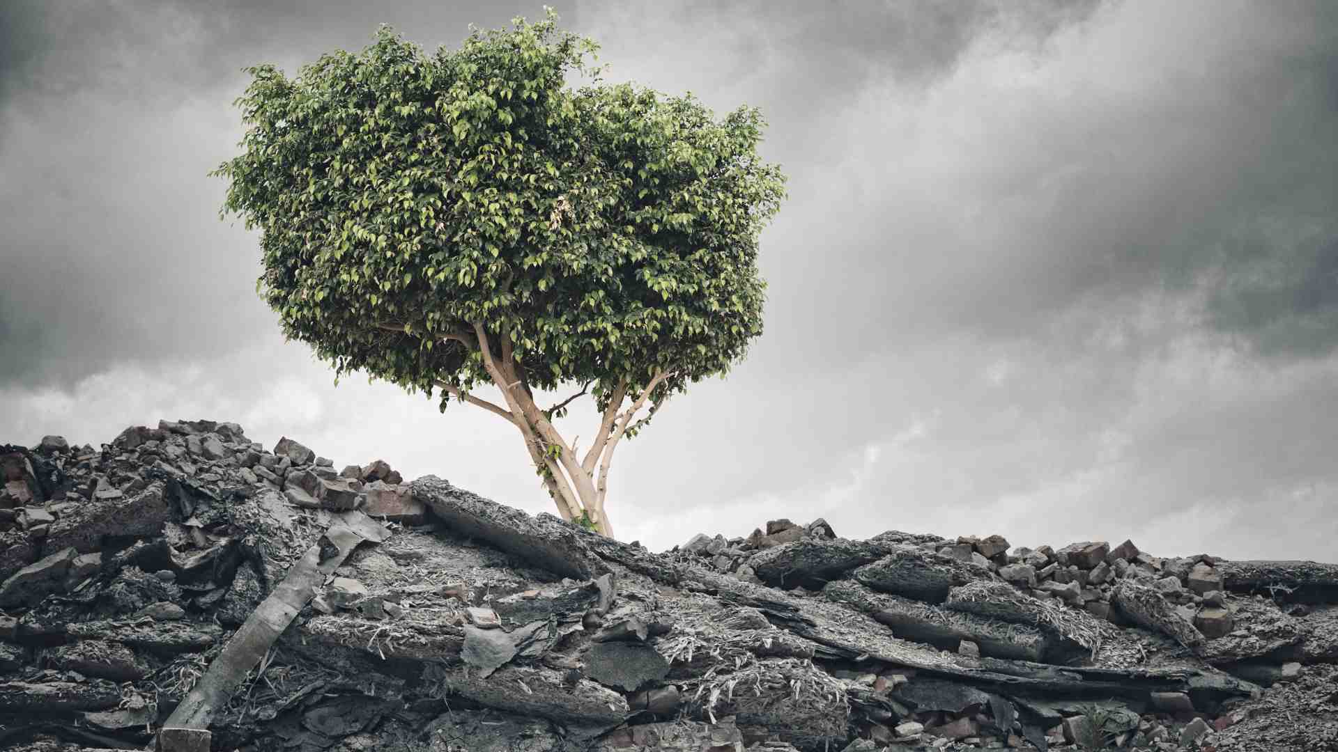 È questo capitalismo speculativo a farci detestare gli esseri umani