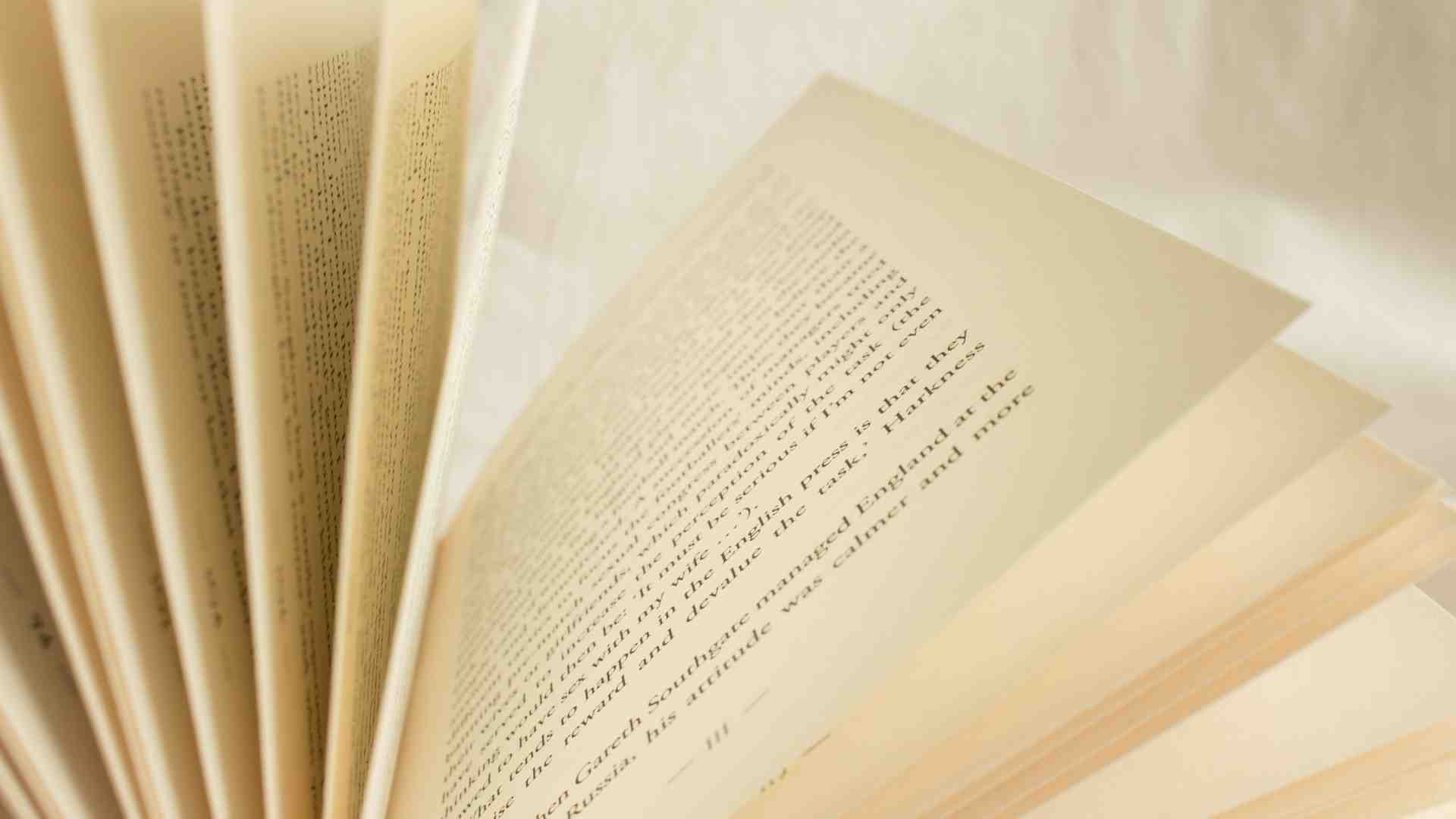 Andrea Long Chu contro i recensori servizievoli