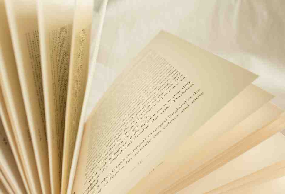 Andrea Long Chu contro i recensori servizievoli