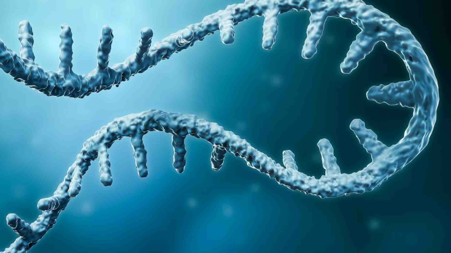 Rna messaggero, il "passe-partout" della ricerca