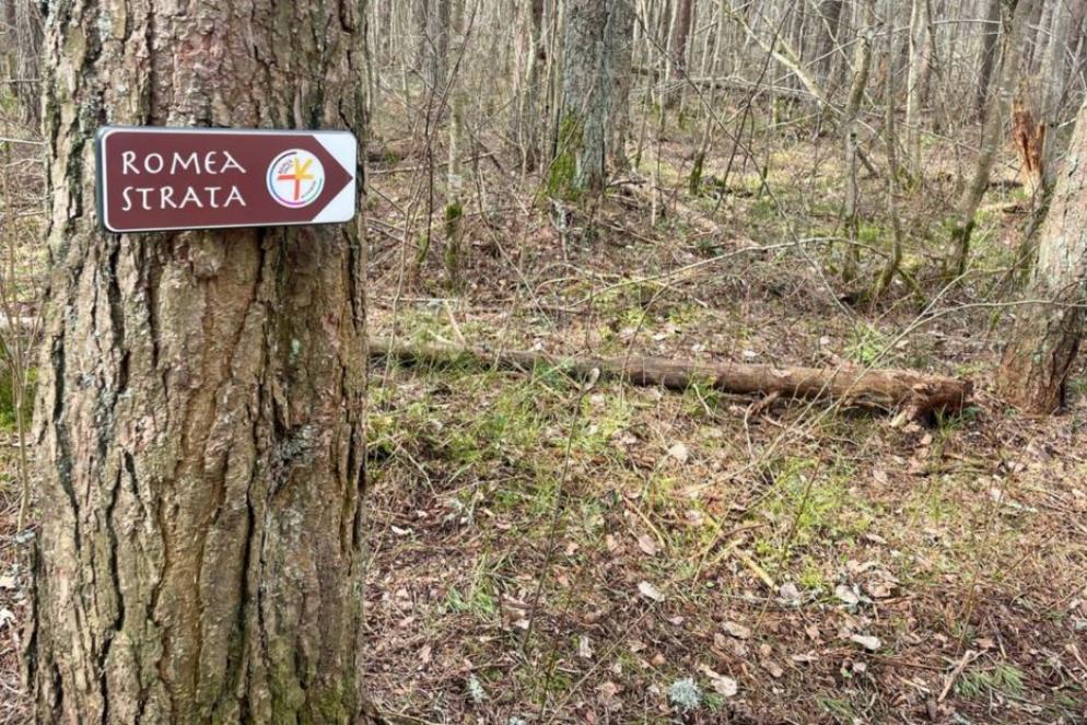 Ingresso nella foresta di Männiku