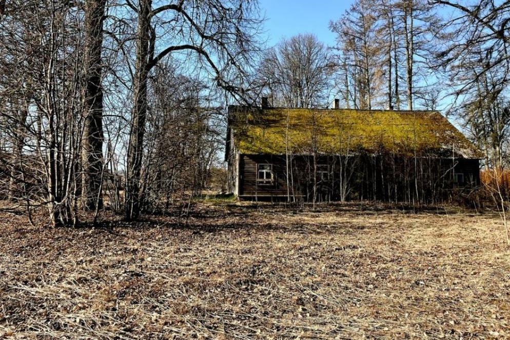 Una tipica casa isolata estone
