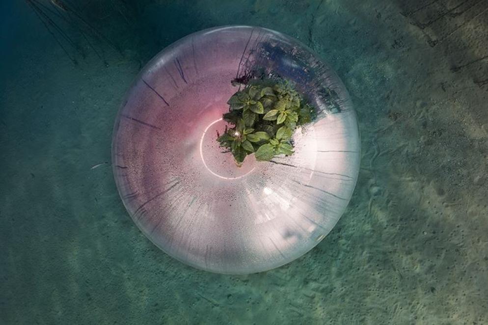 Biosphere Underwater, Farming #3, Italia, 2021.   Si tratta del primo esperimento al mondo di agricoltura subacquea, situato a Noli, in Liguria. Il progetto è nato nel 2012 per ricreare le condizioni ideali di coltivazione del basilico