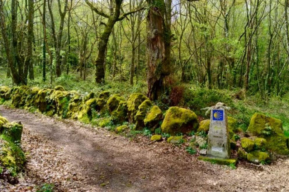Lungo il Cammino di Santiago, seguendo la conchiglia gialla - Dario Corradino