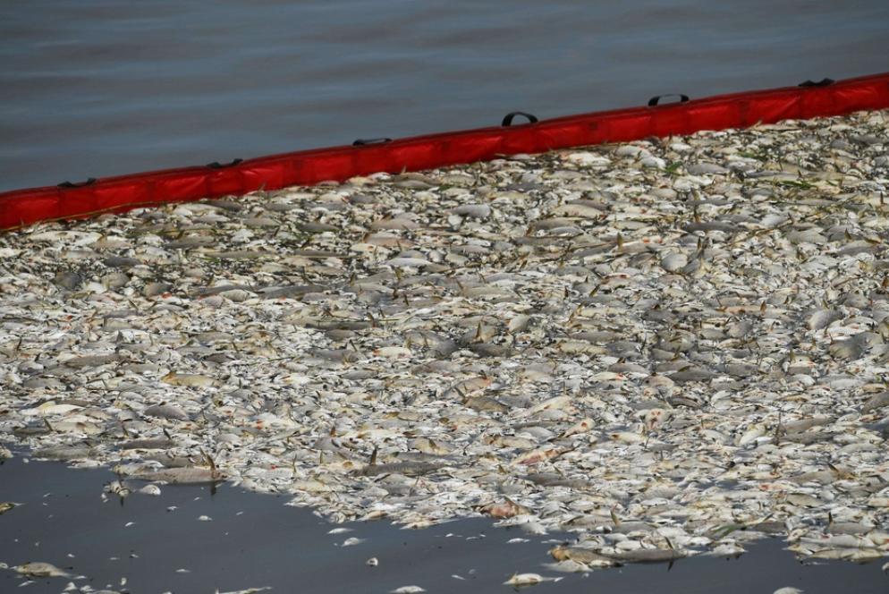 Adesso si teme che l'avvelenamento finisca col colpire anche il mare Baltico - Reuters