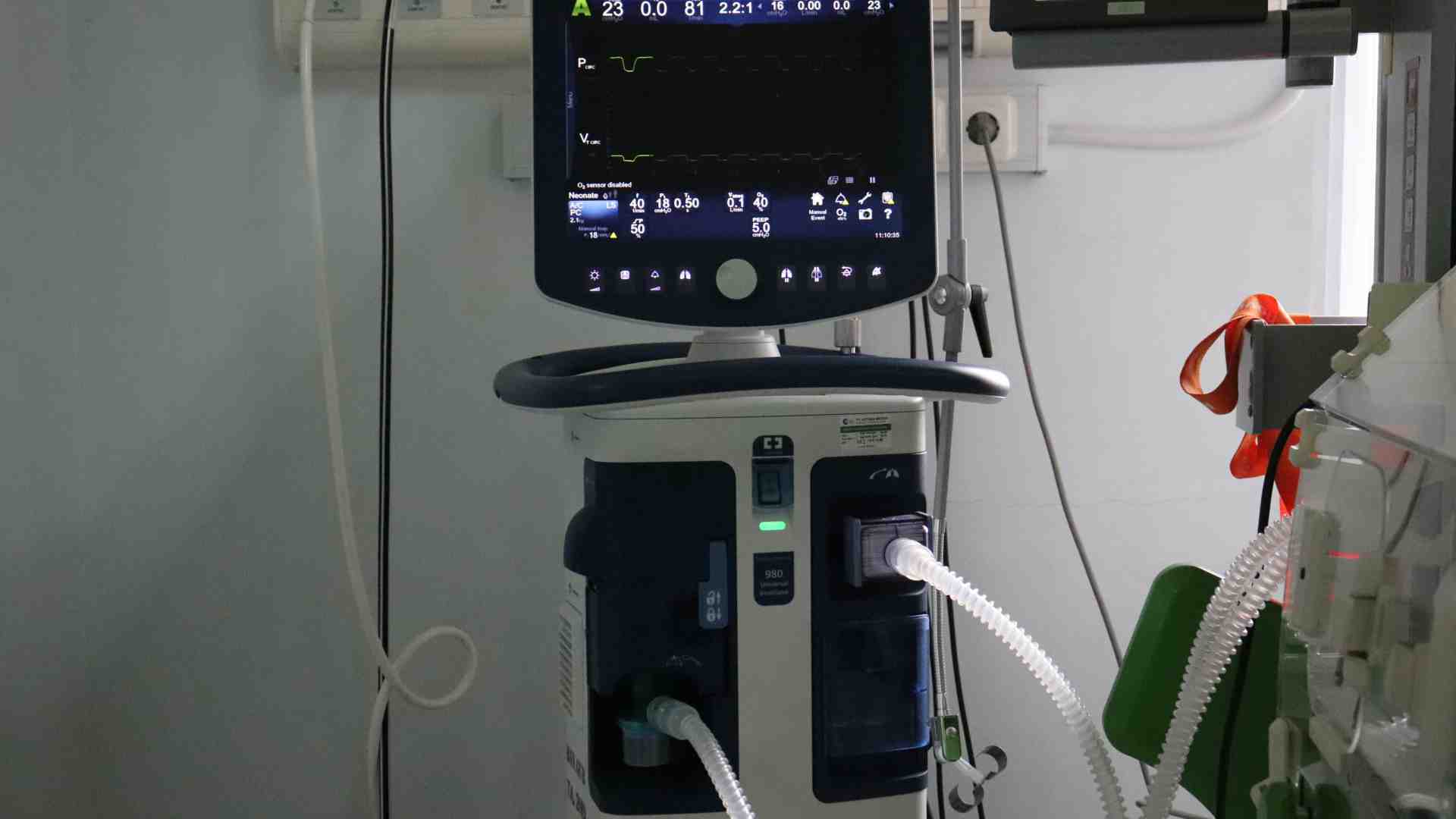 Prima di tornare a parlare di fine vita, rileggiamo un po’ di Pasolini