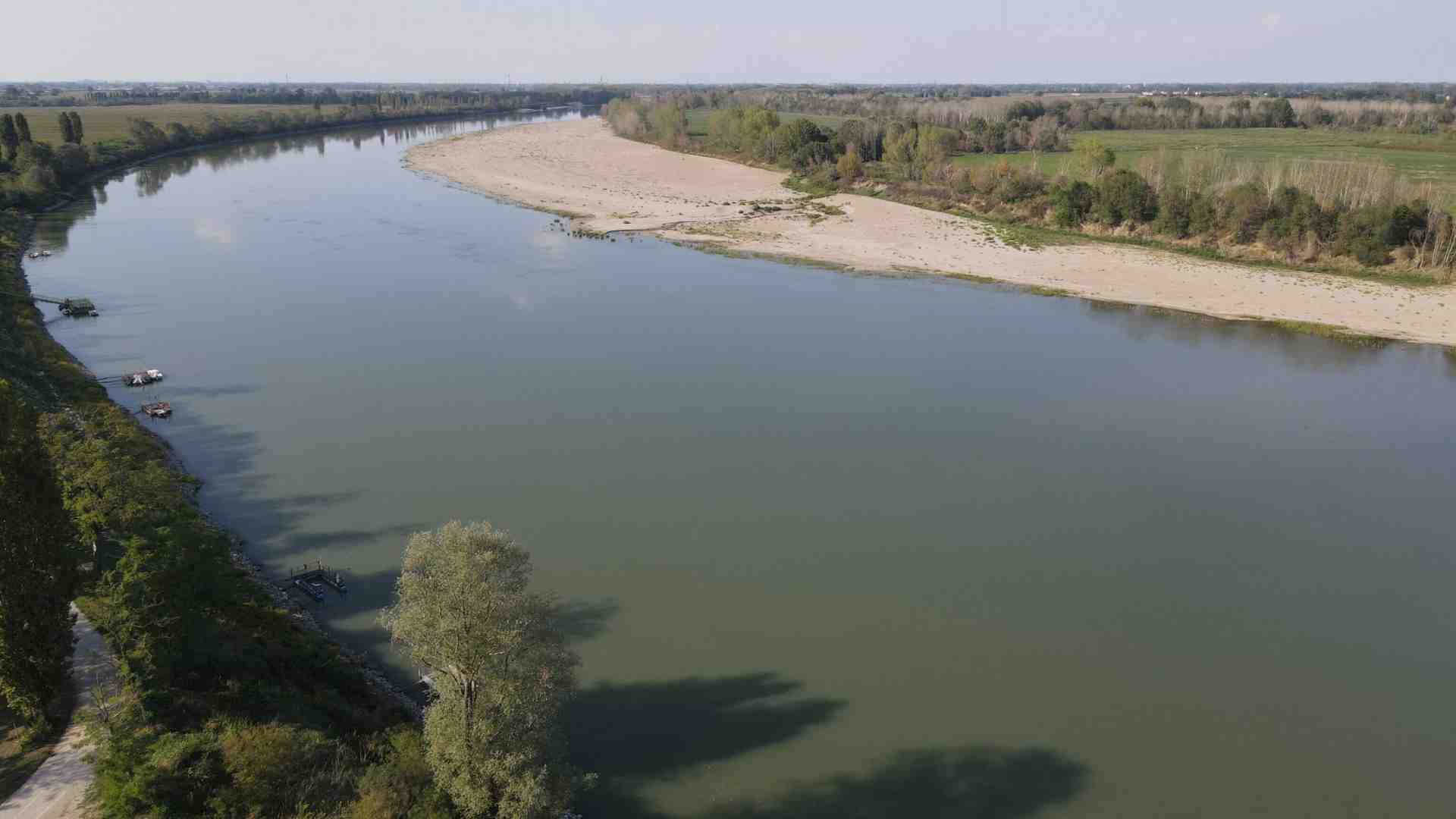 L'estinzione è già realtà, ed è una gran tristezza